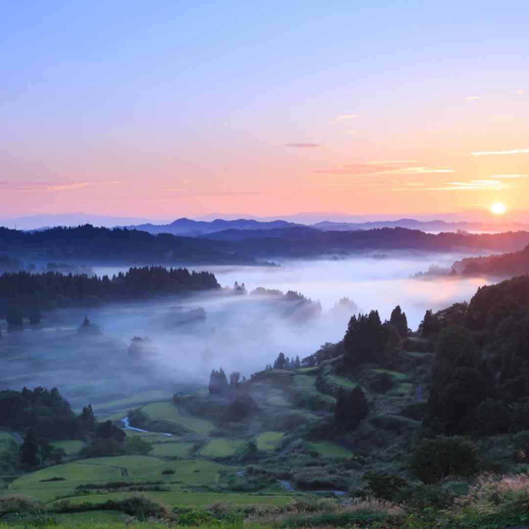 新潟