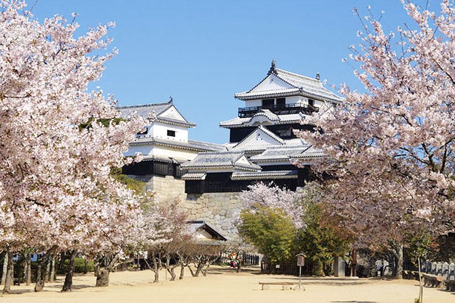 松山
